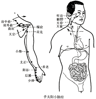 shierjingmai_06.gif