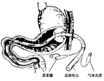 linchuangyingyangxue177.jpg