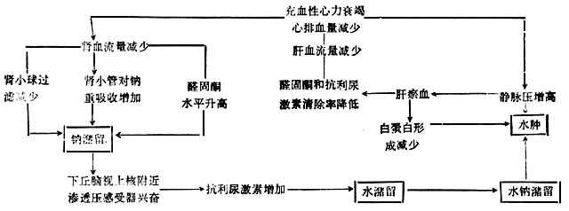 linchuangyingyangxue150.jpg