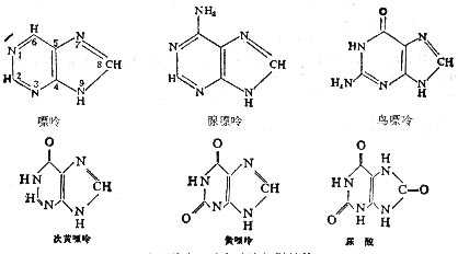 linchuangyingyangxue128.jpg