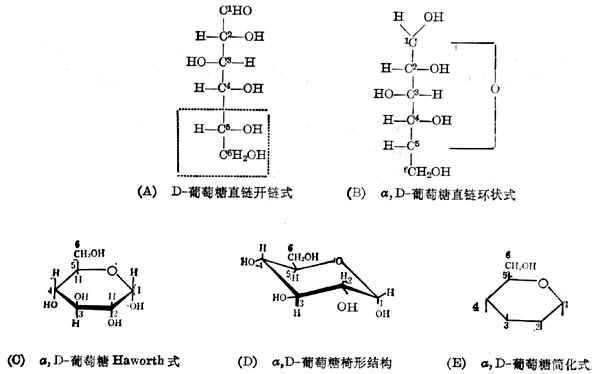 葡萄糖的结构式 