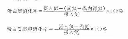 蛋白质消化率