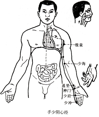 手少阴心经.jpg