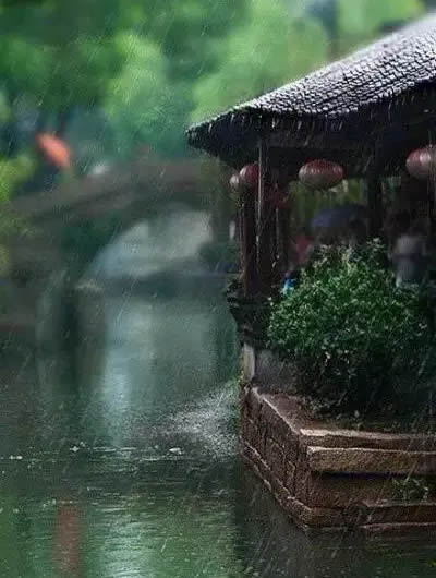 听雨.jpg